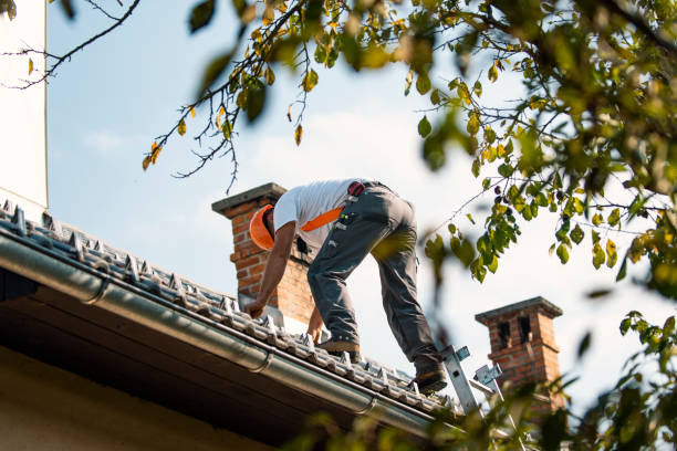 Roof Gutter Cleaning in Lakewood, OH